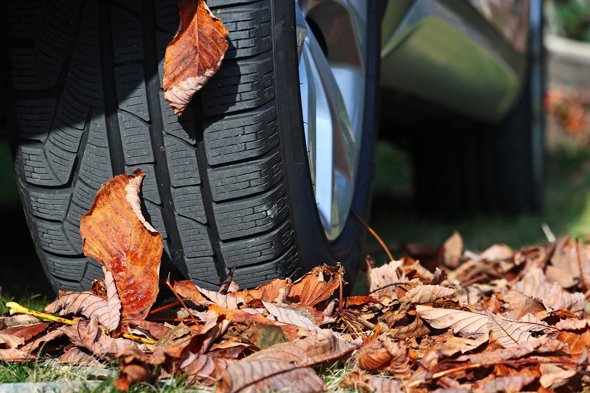 Top Tips for Drivers this Autumn