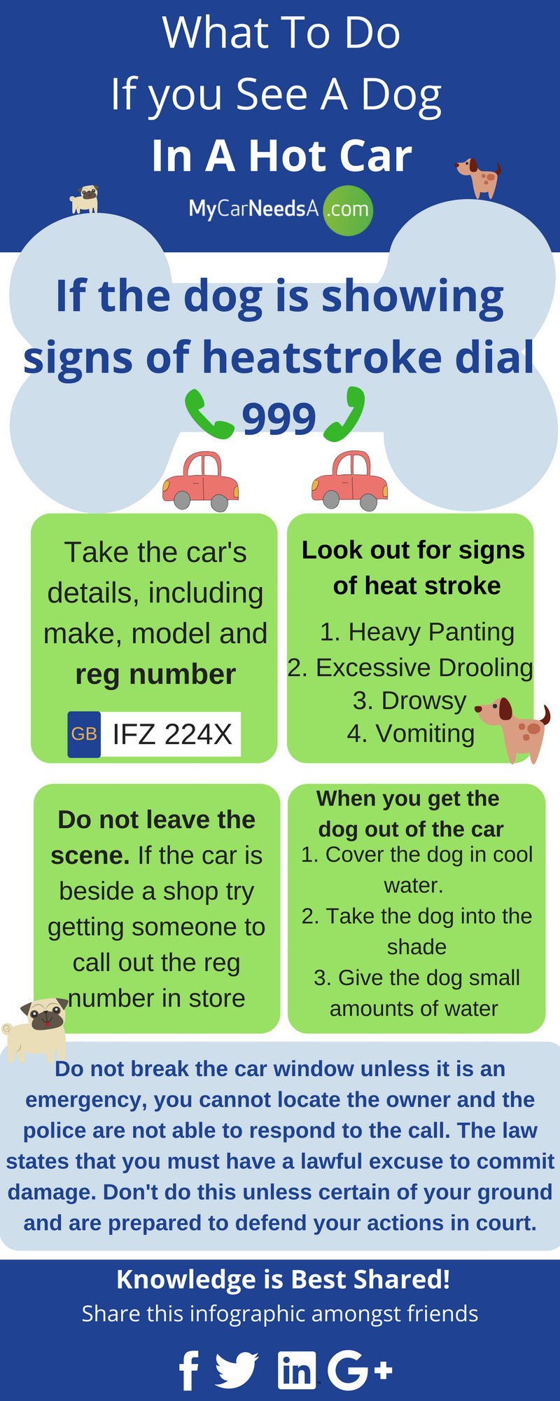 Dogs in hot cars is dangerous