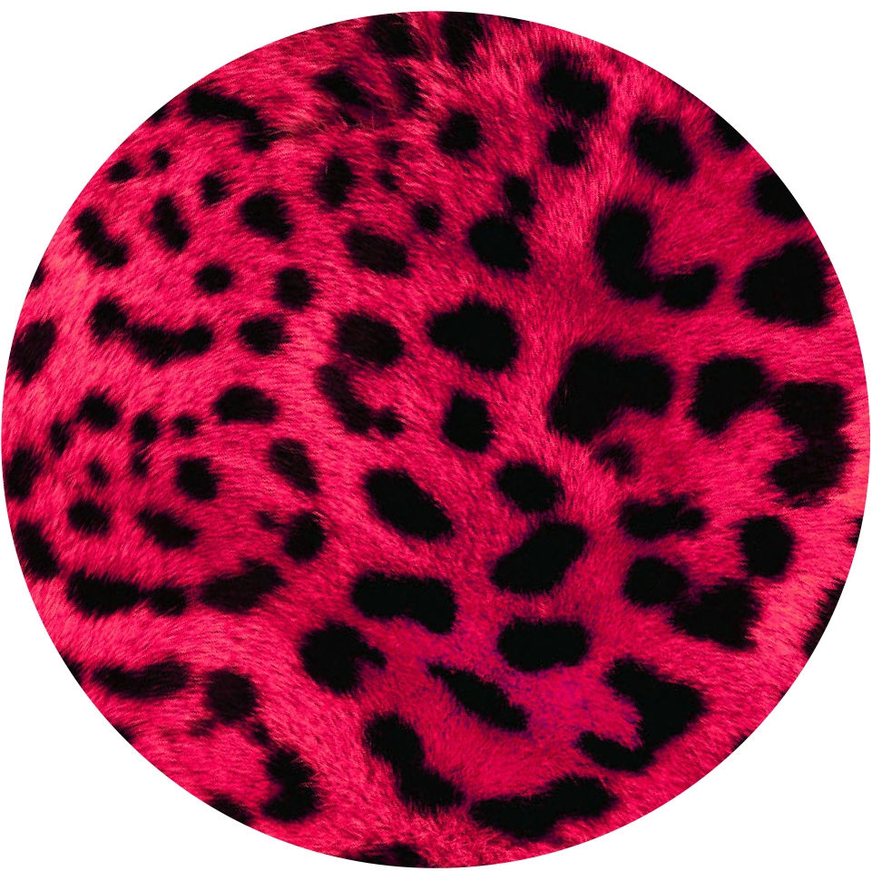 Leopard print tax disc holder
